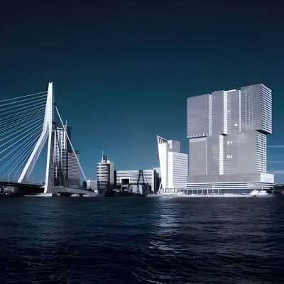 Roterdam, consultant